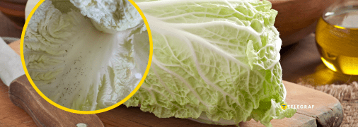 Пекінська капуста