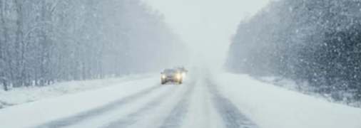 Эксперты ожидают мало снега и много дождей