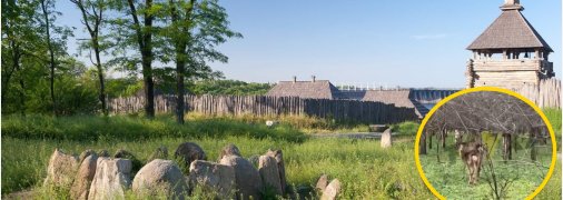 Остров Хортица