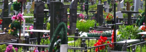 Врожай вирощували поблизу могил