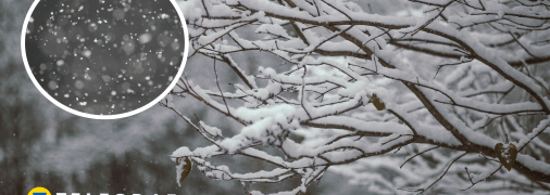 В Киеве выпал снег