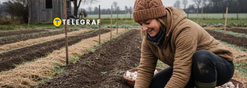 Перед посадкою часнику город потрібно підготувати