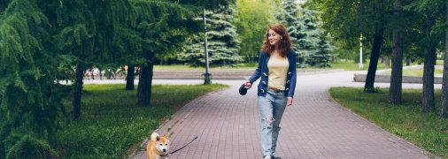 Безвідповідальні власники тварин можуть постати перед судом