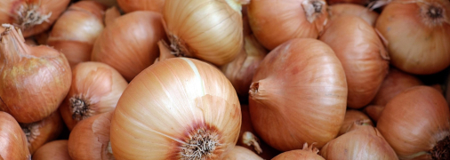 Цибулю на зиму потрібно розміщувати правильно