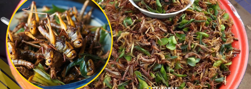 Як готують сарану