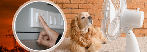 Колаж Телеграфу