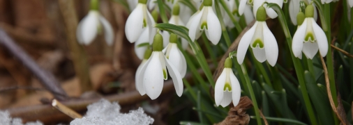 Что говорили наши предки про февраль?