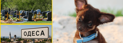 В Одесі знайшли кладовище тварин посеред місця відпочинку