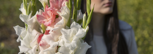 Посадка гладіолусів у ґрунт — відповідальна справа