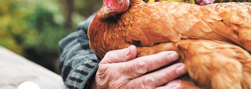 Чего ждать от цен в будущем