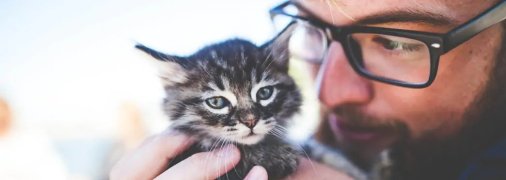 Можно подружиться с любым котом, если есть достаточно терпения и желания