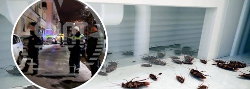 Отрута проти тарганів подіяла і на росіян