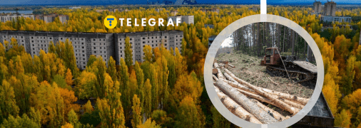 Рудий ліс в Чорнобилі