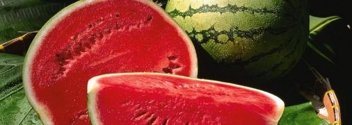 Херсонские арбузы стают более доступными