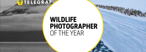 Иллюстративное фото