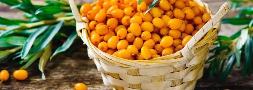 Облепиха на зиму: 3 лучших способа заготовки