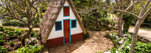 Отримуємо все відразу - і красу, і користь