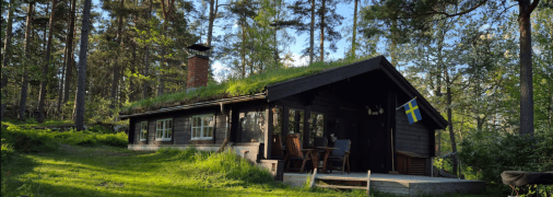 Відпочинок у лісі