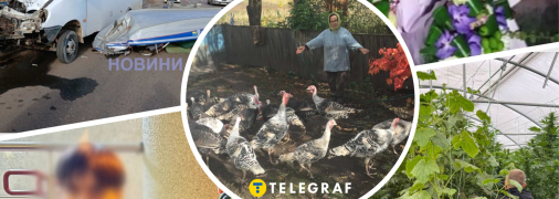 Нетипичные похищения, избиения и ДТП за середину октября 2025 года