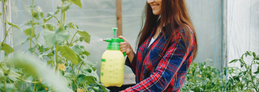 Початок осені – час догляду за деревами у саду