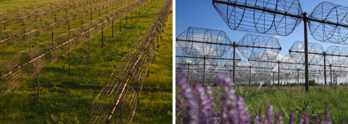 Социальные сети