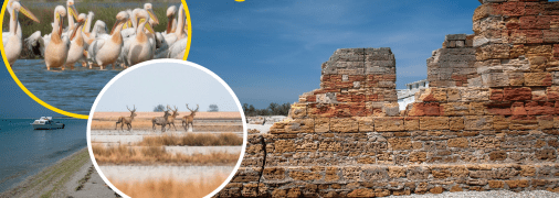 Колаж "Телеграфу"