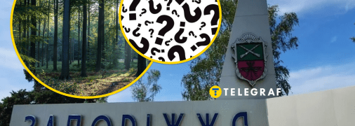 Насекомые в Запорожье