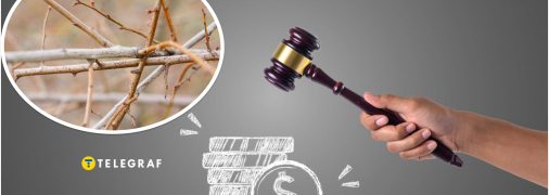 У Тернопільській області на торгах продають палку