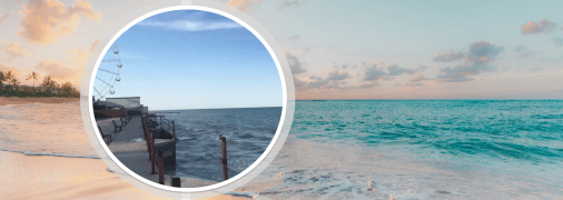 Колись тут яблуку ніде було впасти