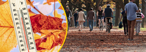 Колаж "Телеграф"