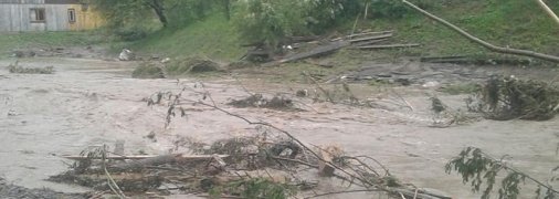 Затопленные дома и размытые дороги: в Закарпатской области прошли сильные ливни (фото)