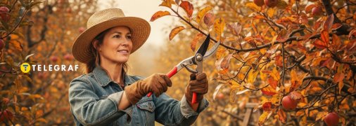 Восени фруктові дерева не потребують обрізки