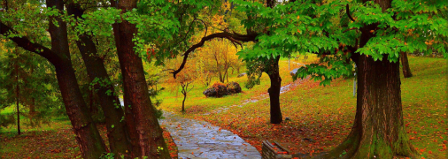 Осінній дощ у парку біля метро