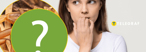 Какое редкое животное как для Украины увидели на Киевщине