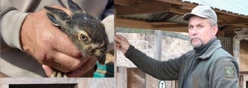 Владимир Плема: "Если бы не любил животных, то не брался бы за дело"