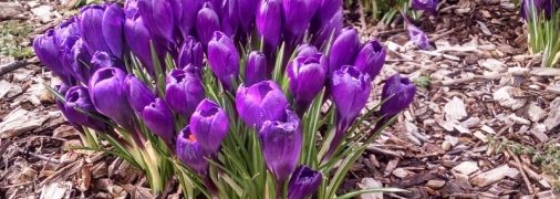 Потепління витає у повітрі