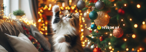 Кіт грається у свято