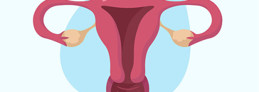 Матка влияет на умственные способности: новое исследование ученых