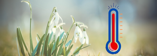 На следующей неделе в Украине потеплеет