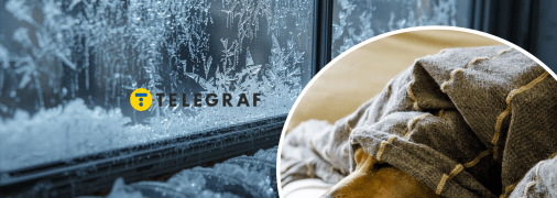 Замерзшее окно, собака