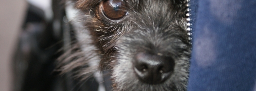 Сделали расклад Таро для каждого знака Зодиака на неделю с 30 октября по 5 ноября