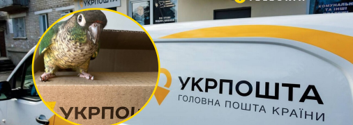 Почтовый оператор делает свои услуги более удобными