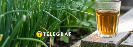 Чай допоможе у збільшенні врожаю цибулі