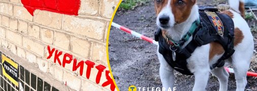 Пси Патрони в укритті насмішили українців