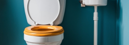 Чистый унитаз – гордость каждой хозяйки (изображение создано с помощью ИИ)