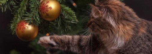 С Новым годом!