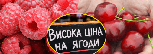 Вартість на ягоди знову б'є рекорди