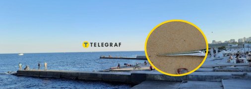 В Одесі рибалки вловили рибу сарган