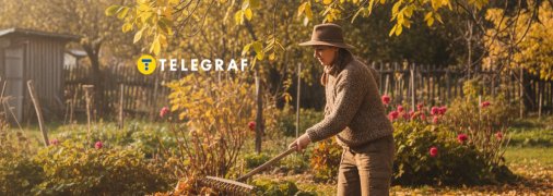 Горіхове листя можна з користю застосувати на городі як добриво