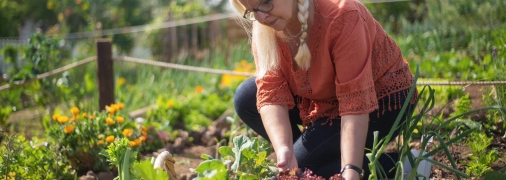 Эти цветы нельзя сажать рядом с овощами